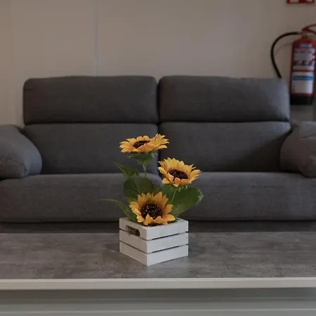 Apartamento Loft En Zarauz Con Parking Hator 1 Zarautz